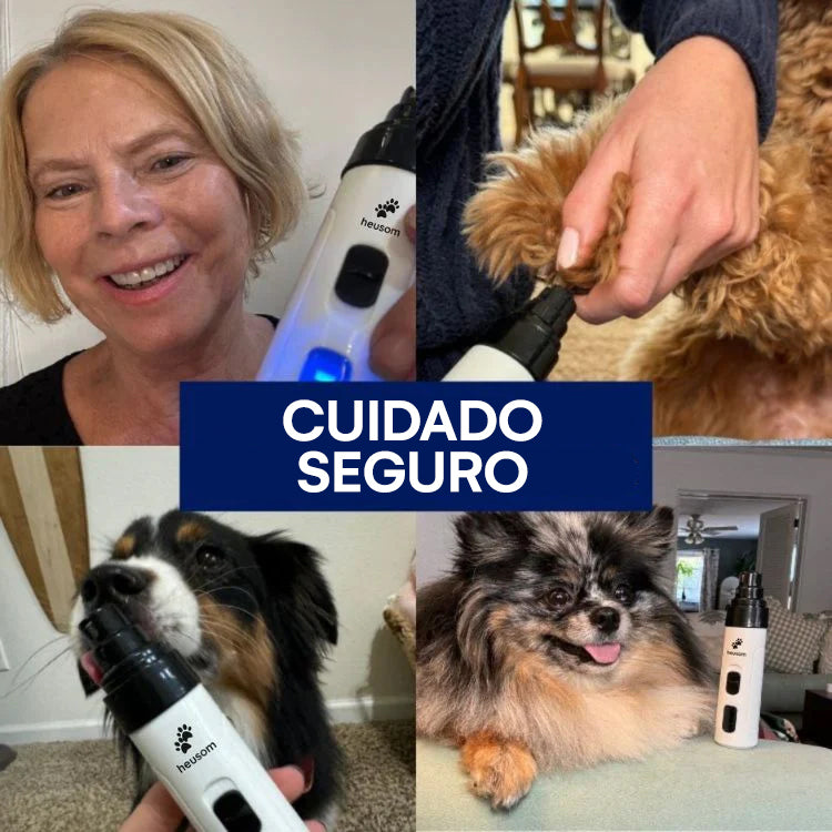 Lima Eléctrica Silenciosa para Perros