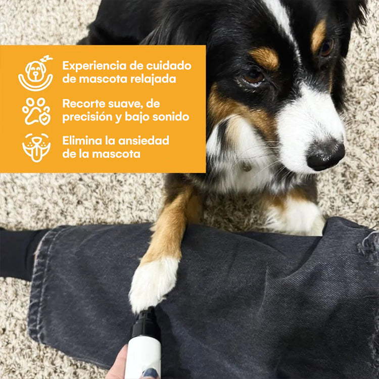 Lima Eléctrica Silenciosa para Perros